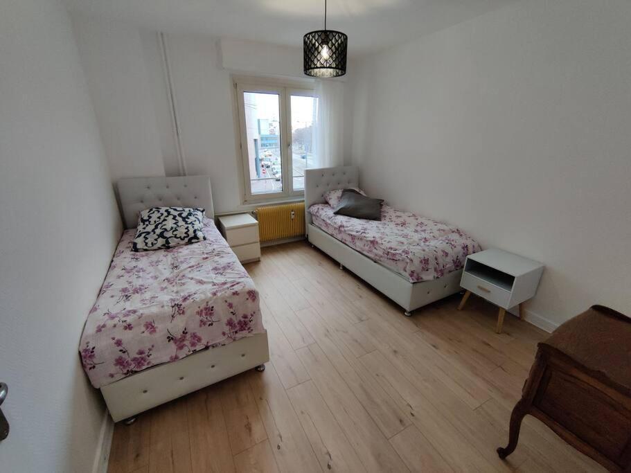 שטרסבורג Appartement Hyper Centre-Ville, Petite France מראה חיצוני תמונה